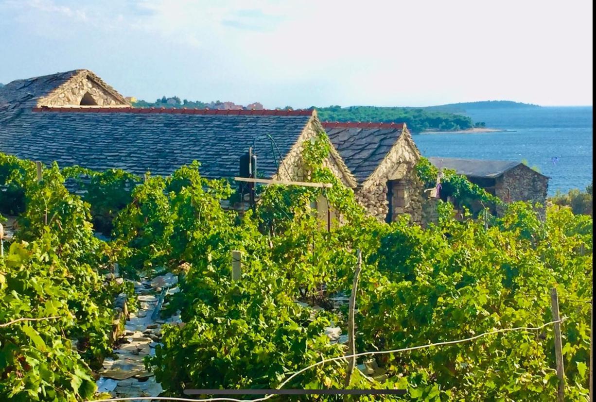 Eco-Friendly Estate I Aparthotel Primošten Buitenkant foto