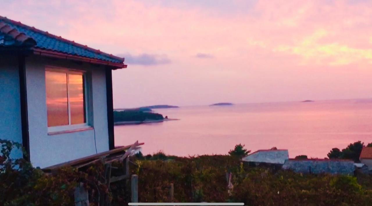 Eco-Friendly Estate I Aparthotel Primošten Buitenkant foto